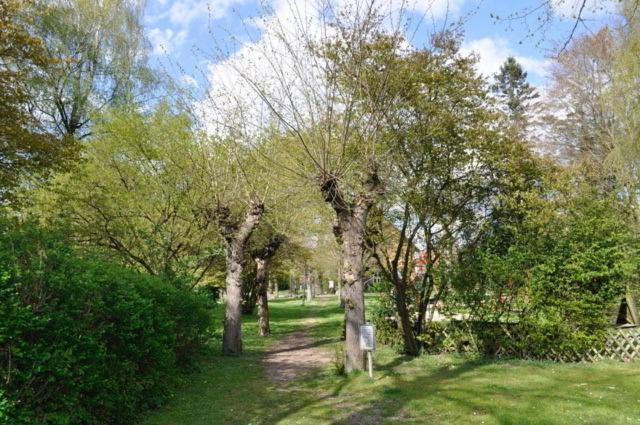 Ferienwohnung Suedpark Schneverdingen Exteriér fotografie